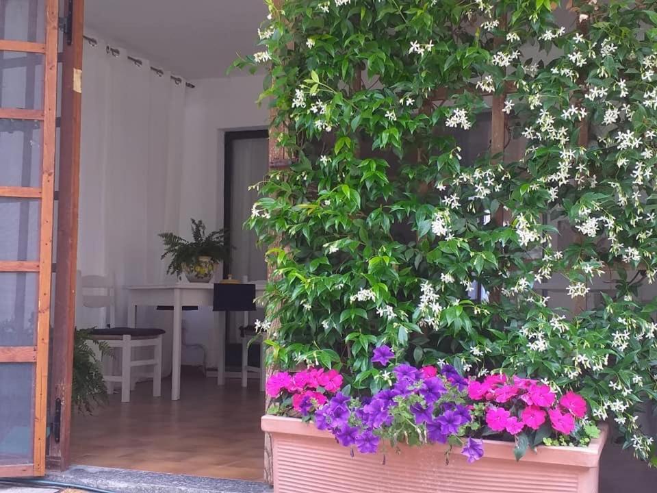 Alla Ghigliotta Вівероне Екстер'єр фото